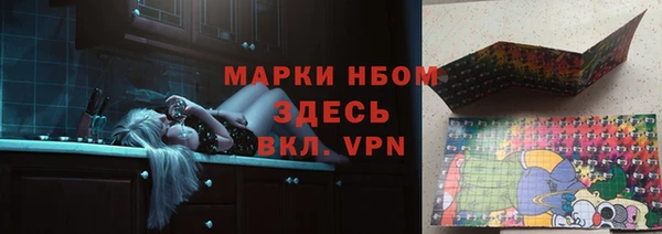 гашик Алексин