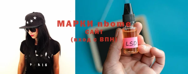 гашик Алексин