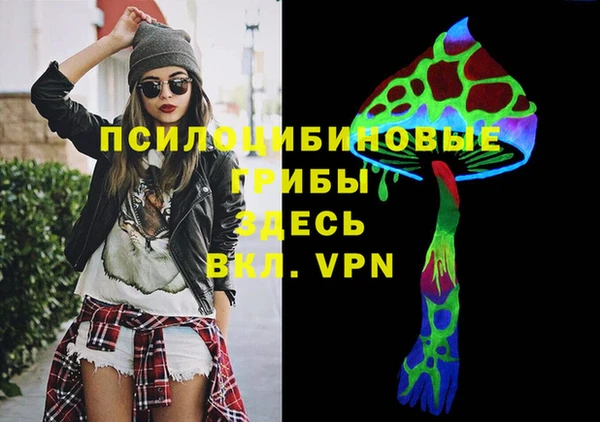 дмт Абаза